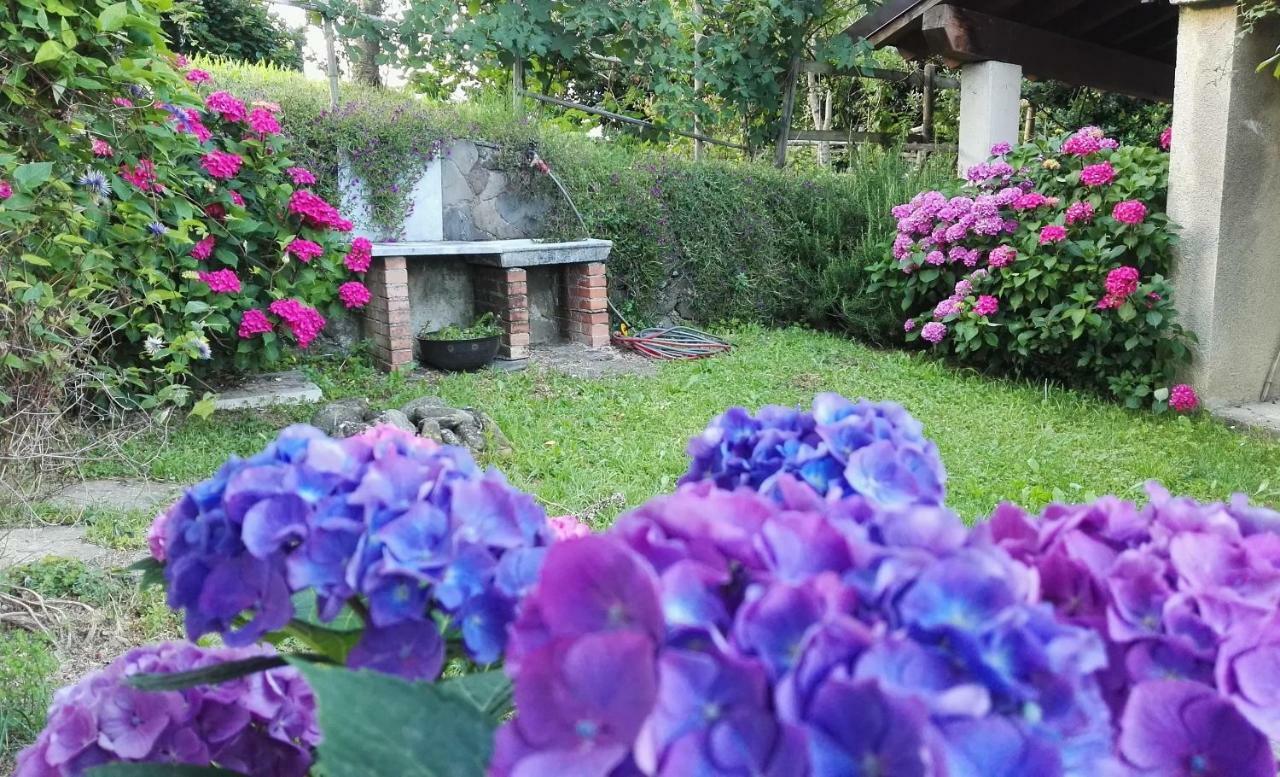 Villa La Costa Di Gavedo Esterno foto